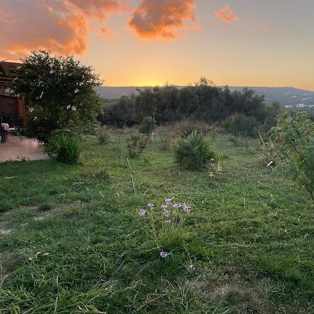 Chrissi'S House With Garden And Sea View Zerviana Βίλα Κίσσαμος Εξωτερικό φωτογραφία
