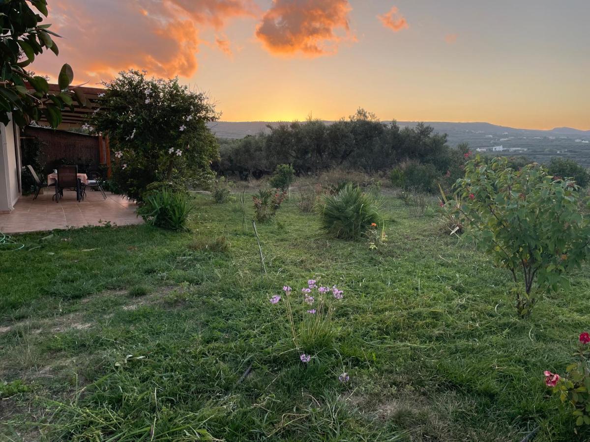 Chrissi'S House With Garden And Sea View Zerviana Βίλα Κίσσαμος Εξωτερικό φωτογραφία