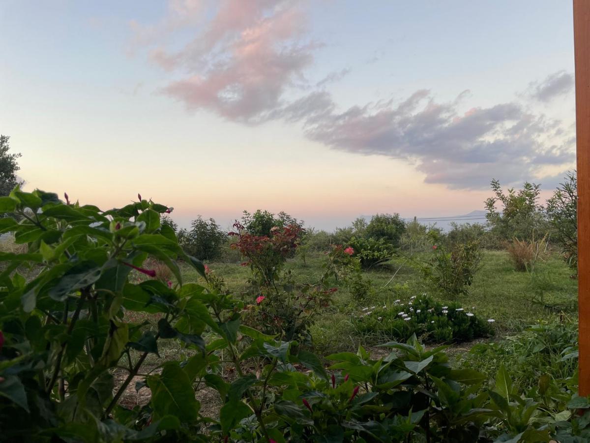 Chrissi'S House With Garden And Sea View Zerviana Βίλα Κίσσαμος Εξωτερικό φωτογραφία
